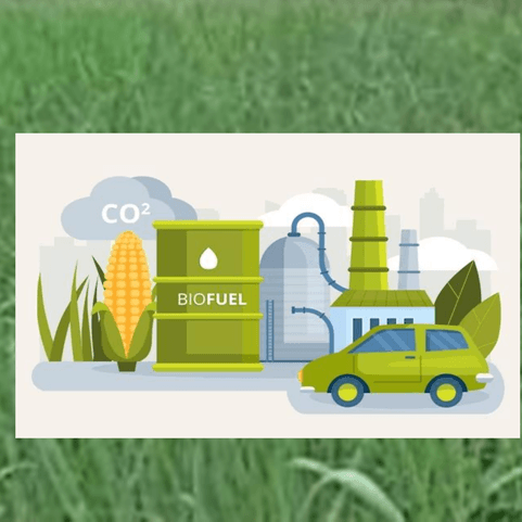 Bioethanol Production