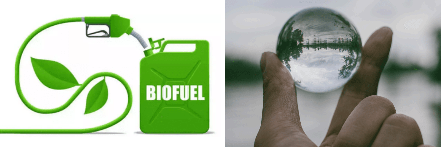 Biofuel Production