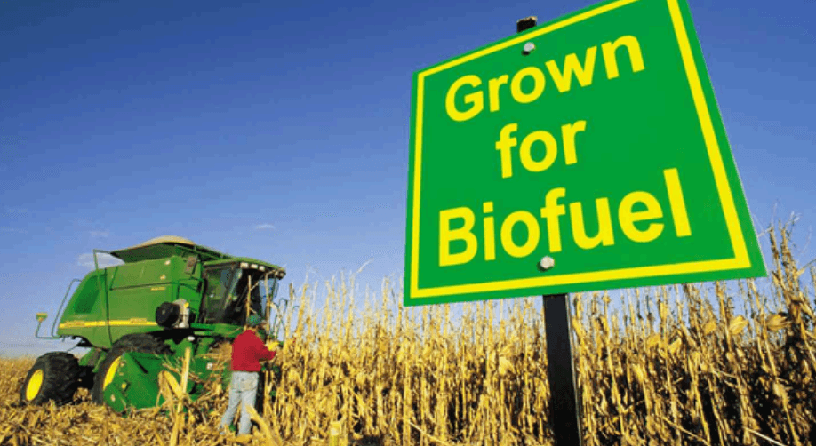 Biofuel Production Process