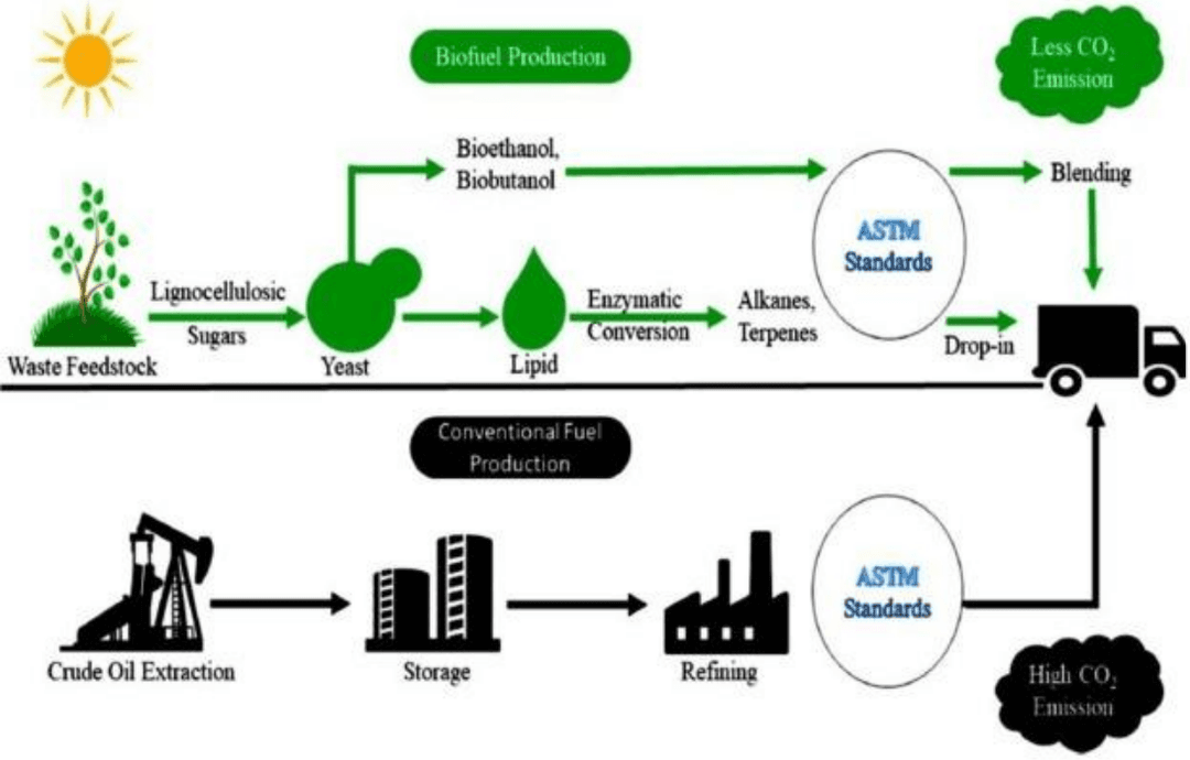 Biofuel Production Process